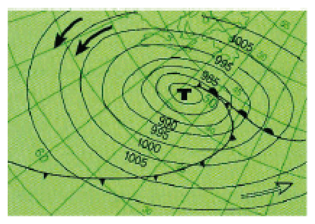 Wetterkarte: Tiefdruckgebiet auf der Nordhalbkugel mit Warm- und Kaltfront (T)